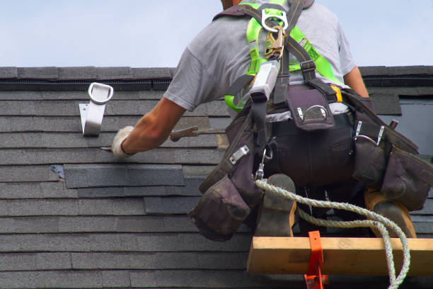 Best Shingle Roofing Installation  in Newaygo, MI