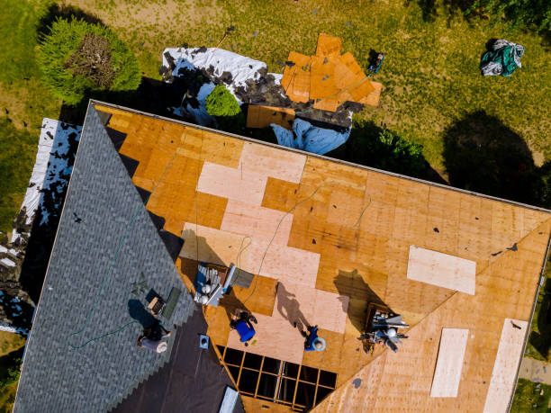 Trusted Newaygo, MI Roofing Contractor Experts