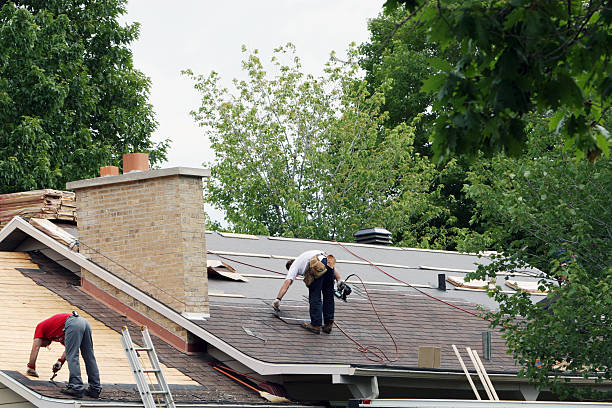 Best Flat Roof Repair Services  in Newaygo, MI