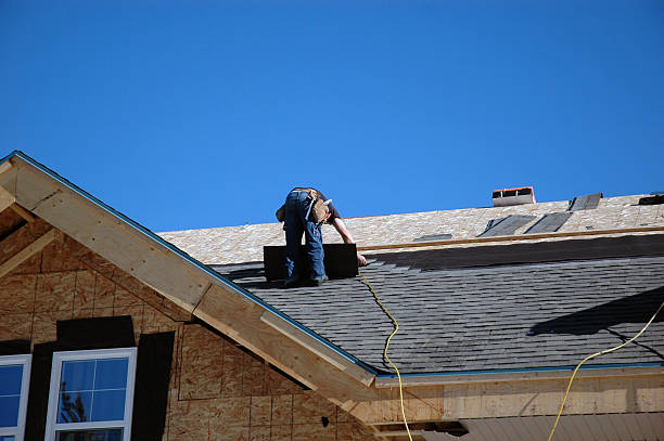 Best Local Roofing Companies  in Newaygo, MI