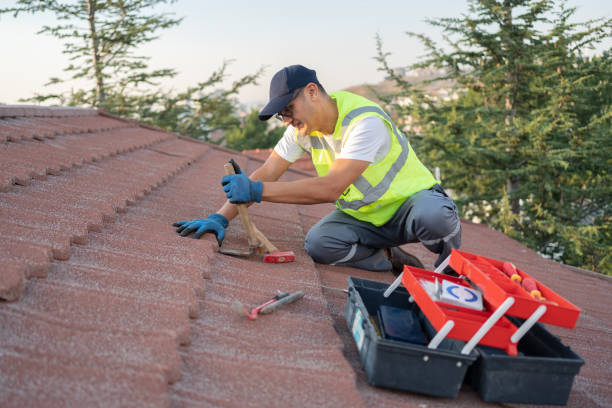 Best Roof Restoration Services  in Newaygo, MI