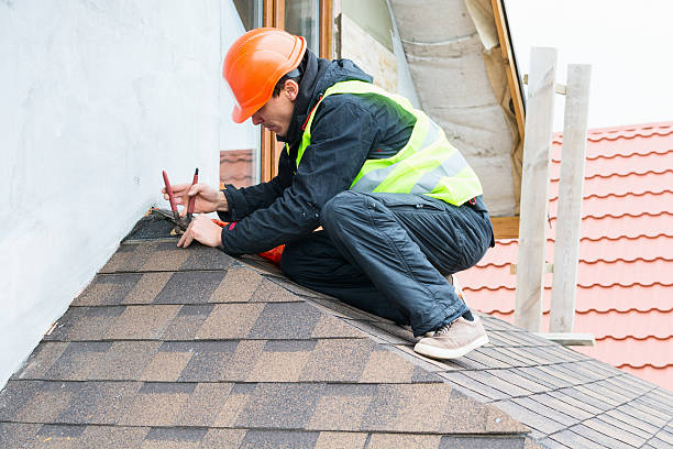 Best Metal Roofing Contractor  in Newaygo, MI
