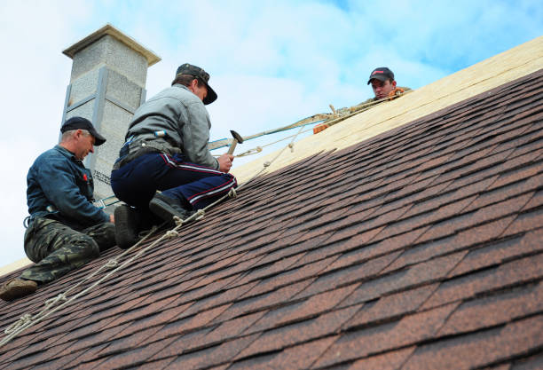 Best Best Roofing Contractors  in Newaygo, MI