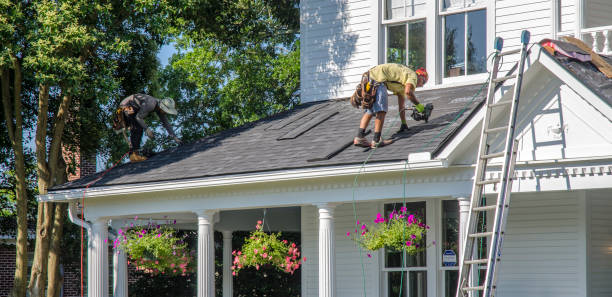 Best Metal Roofing Contractor  in Newaygo, MI
